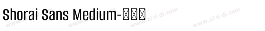 Shorai Sans Medium字体转换